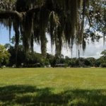Bradenton Herald: Effort to Redevelop Bradenton’s 14th Street West Project Recommended to Continue Bradenton Herald: Effort to Redevelop Bradenton’s 14th Street West Project Recommended to Continue